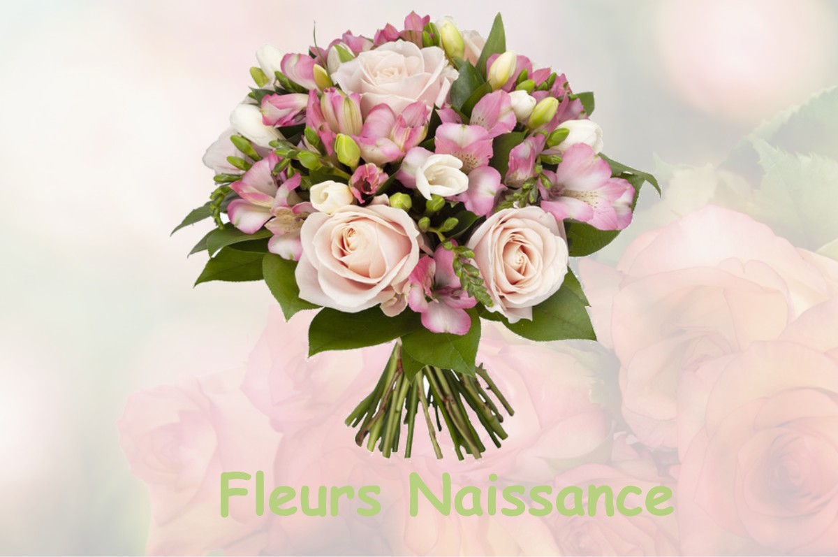 fleurs naissance SAINT-SULPICE-LES-FEUILLES